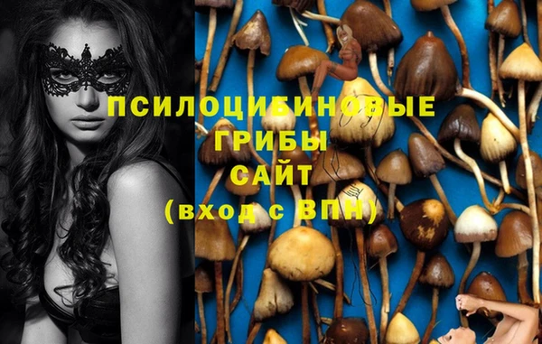 spice Алзамай