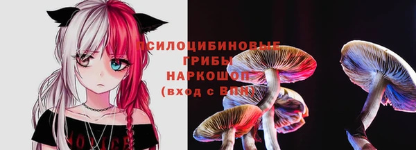 МДПВ Абдулино