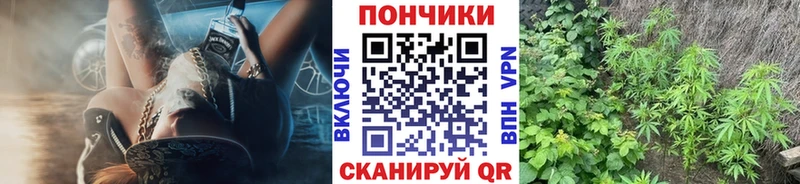 Каннабис гибрид  закладки  Киржач 